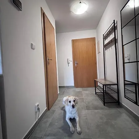 Lägenhet Vyhlad !-apartman 10-nova Lesna *